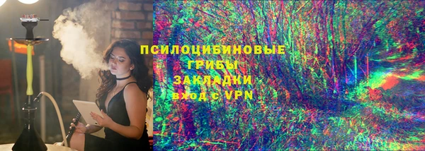 прущие грибы Алексеевка