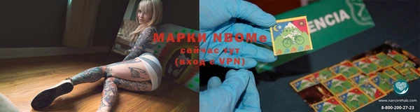 прущие грибы Алексеевка
