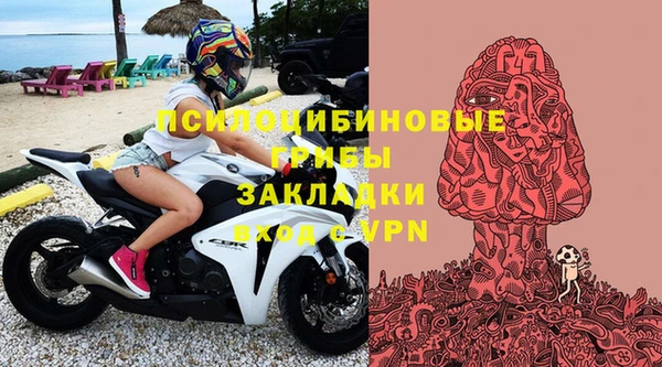 ПСИЛОЦИБИНОВЫЕ ГРИБЫ Абинск